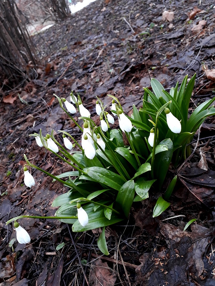 20190329_170510-1