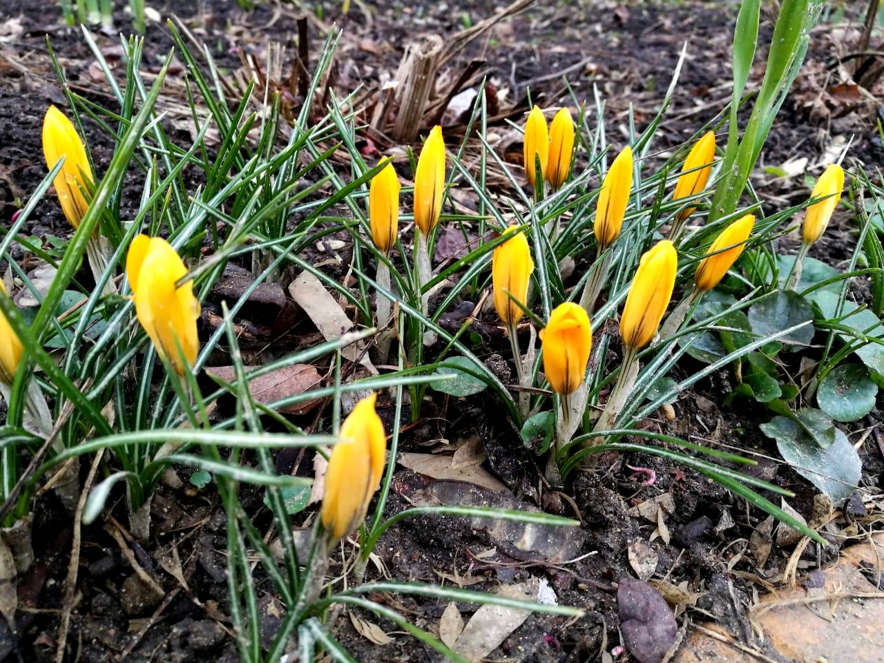 IMG-20190329-WA0021
