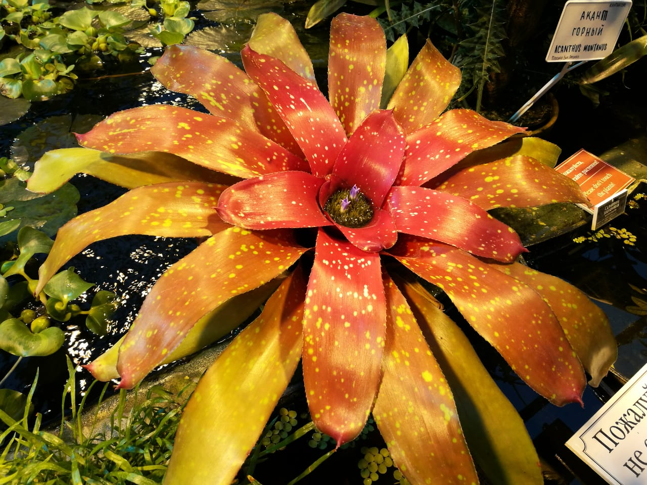 IMG-20190329-WA0048