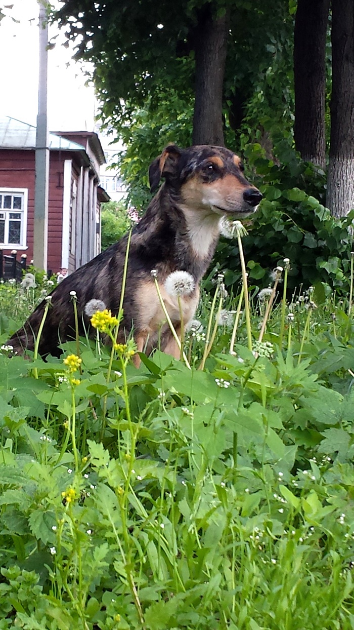 20150606_131008