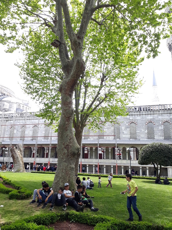 20190504_135034
