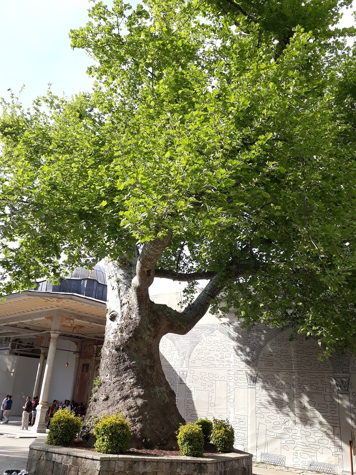 20190504_165424