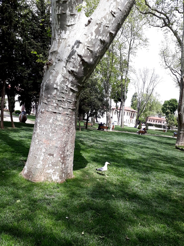 20190505_122336
