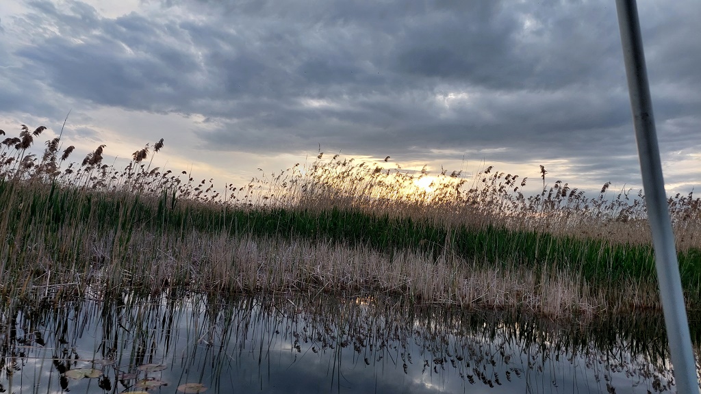 20230416_191032