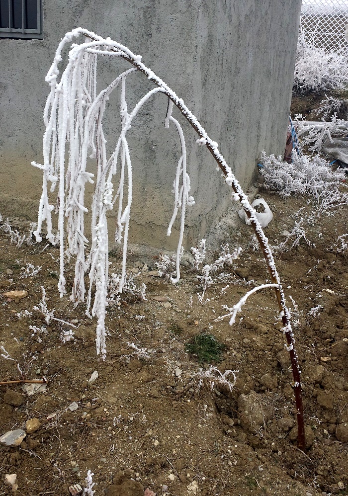 20151225_135240