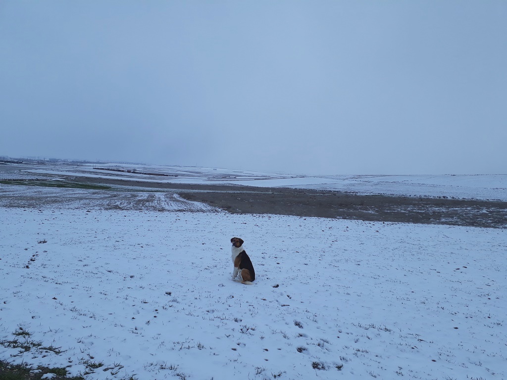 20190107_172030
