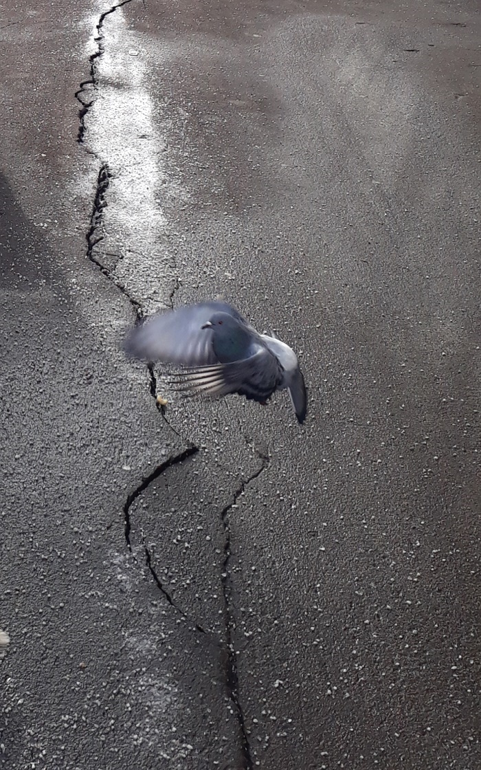 20190302_201049