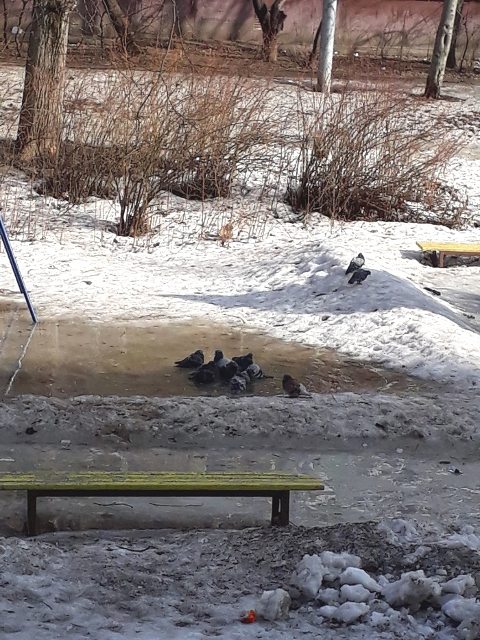 20190318_105535