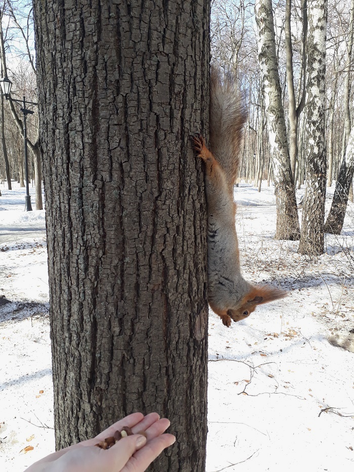 20190320_105238