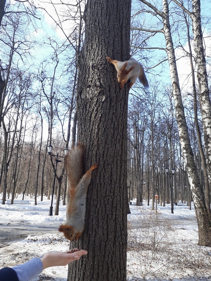 20190320_105437
