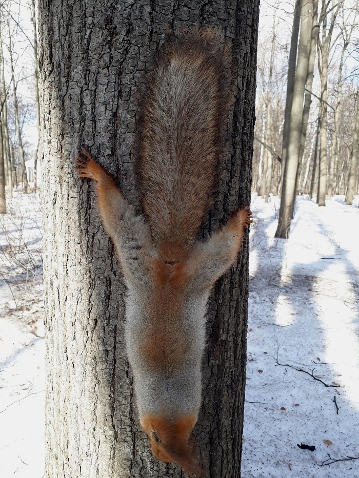 20190320_105538