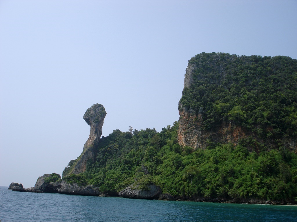 DSC00418