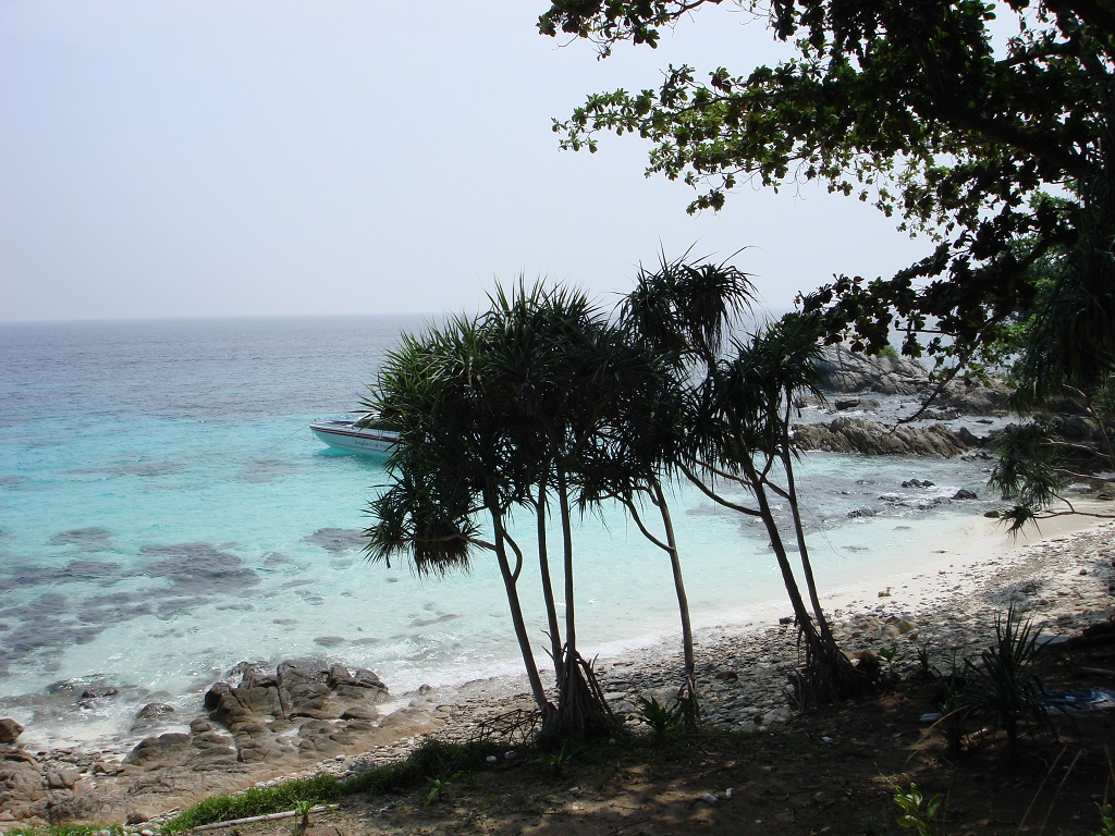 DSC00512