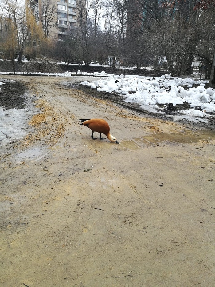 IMG-20190329-WA0030