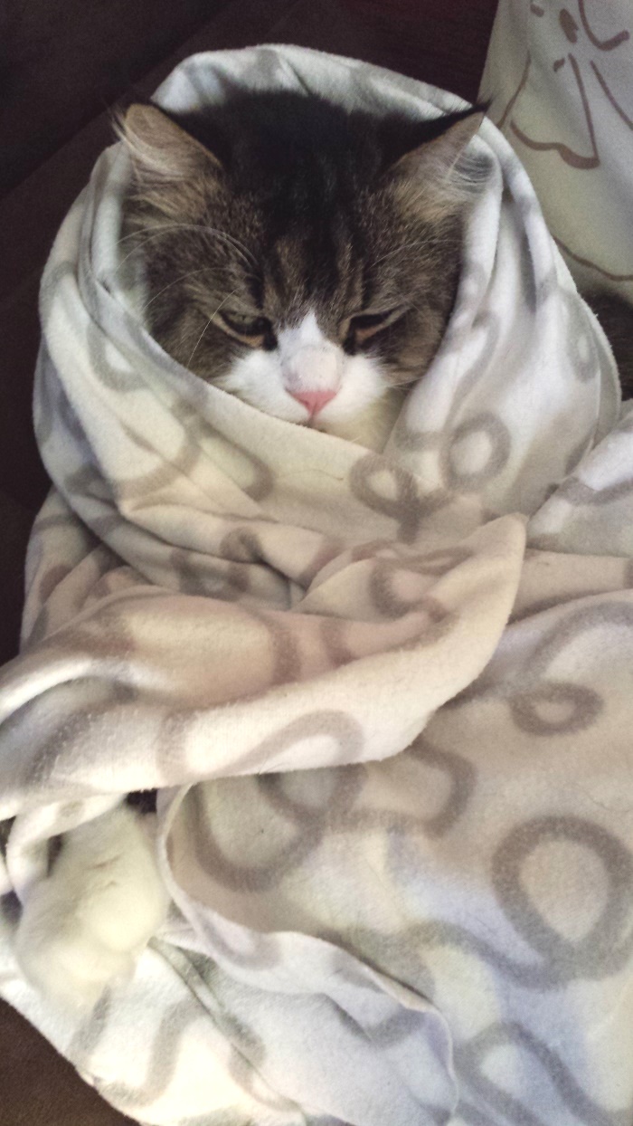 20160103_120857
