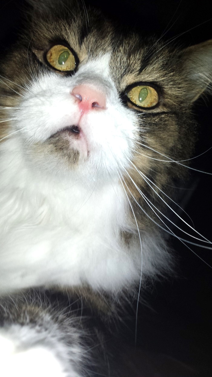 ??????????????
